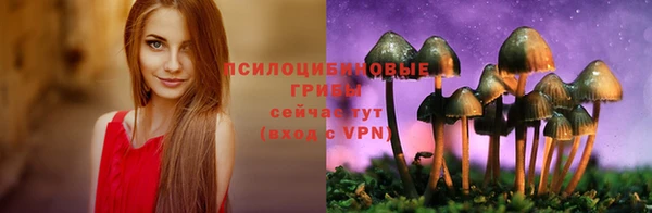mdpv Верхний Тагил