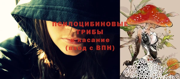 хмурый Бронницы