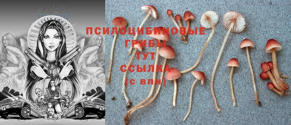 мдпв Богородск